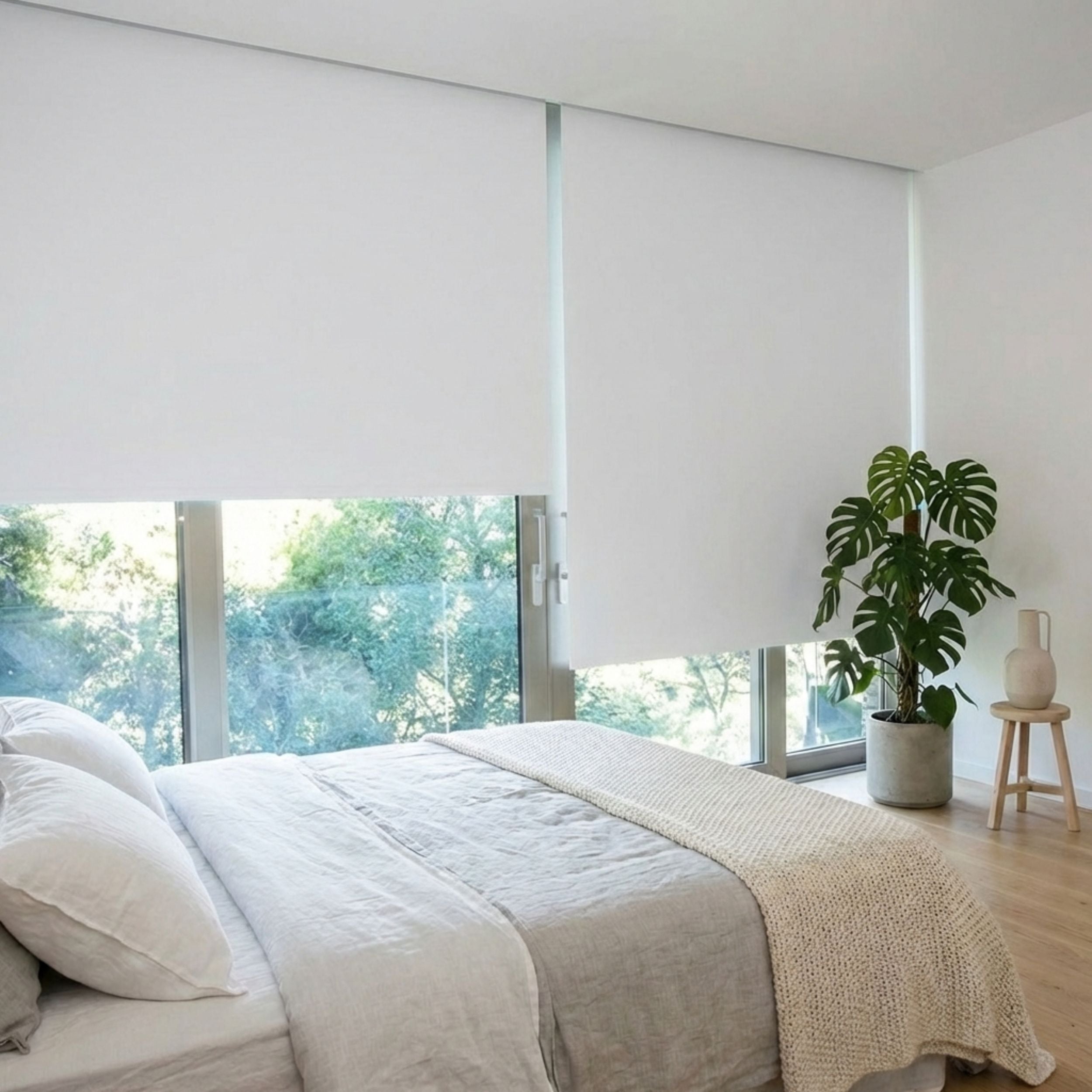 Estor Enrollable Opaco Essential